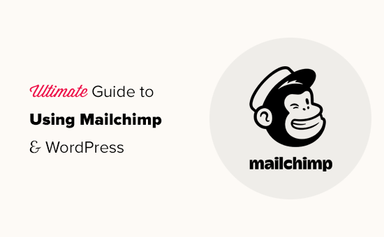 Mailchimp是最受欢迎的电子邮件营销服务之一，它可以轻松地与您的WordPress网站一起使用。在本教程中，我们将详细介绍如何在WordPress中集成Mailchimp以搭建您的外贸网站邮件订阅列表。