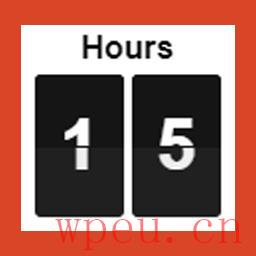 Countdown Timer for WordPress 最好的WordPress常用下载 博客插件模块