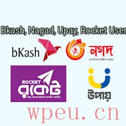 Payment Gateway Bkash Nagad Rocket 最好的WordPress通用插件下载 博客插件模块