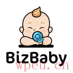 BizBaby-客户关系管理，销售线索，报价，支付，电子邮件营销，表格，电话和消息集成服务企业最好的WordPress常用插件下载博客插件模块